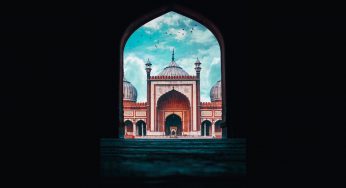 India on Film: Fascinating, but half-hearted